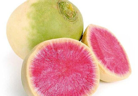 Do colorido das cenouras ao rabanete melancia: o que plantar em julho