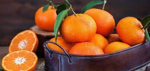 Tangerina: a fruta da safra, rica em vitamina C e compostos bioativos