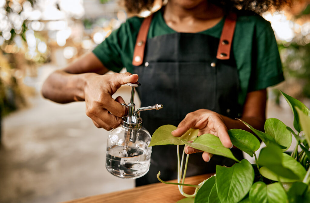 Da faxina aos cuidados com plantas e jardins. Por que o vinagre virou o produto multifuncional mais buscado no lar