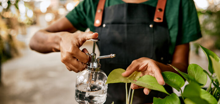 Da faxina aos cuidados com plantas e jardins. Por que o vinagre virou o produto multifuncional mais buscado no lar
