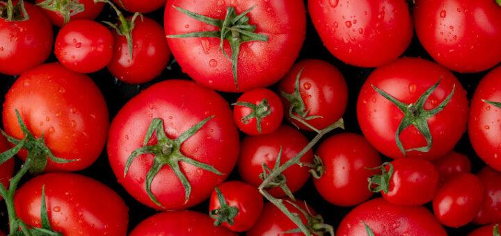 O tomate virou protagonista do prato e não apenas ingrediente