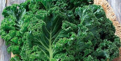 Onde encontrar magnésio na sua horta: veja lista de hortaliças com o nutriente