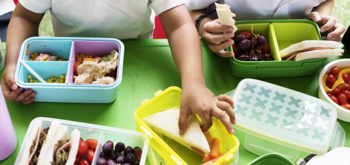 Atenção com a lancheira: confira dicas para recheá-las com saúde e sabor
