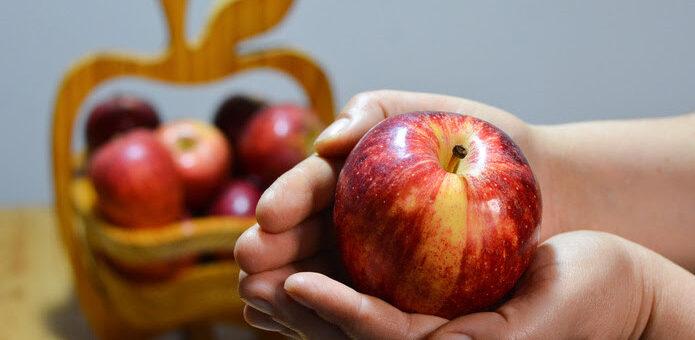 Gala ou Fuji? Veja como identificar as duas principais maçãs produzidas no Brasil
