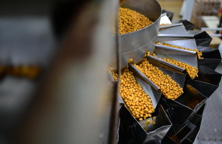 Amendoim: nutricionista esclarece mitos e verdades sobre o alimento