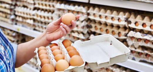 Ovos: guia prático para escolher, armazenar e consumir