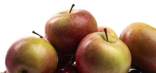 Maçã com casca ou em suco? Nutricionista explica o que muda no organismo